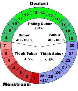 Menghitung Masa Subur Setelah Haid untuk Mencegah Kehamilan