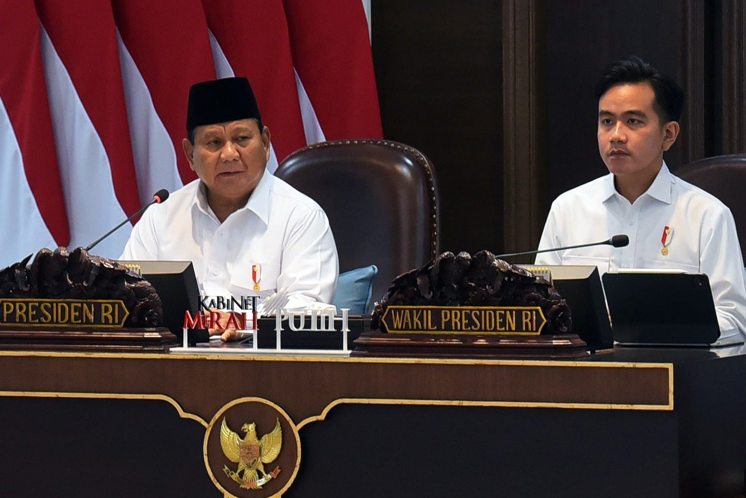 Prabowo Donasikan 20 Ribu Hektare Lahannya! Demi Gajah Aceh!