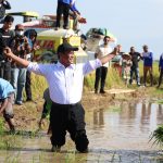 Sulsel Dapat Jatah Pupuk Milyaran! Jawa Timur Juaranya!